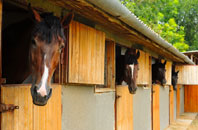 free Tal Y Llyn stable construction quotes